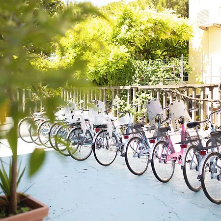 Mare Live リド・ディ・イエゾロ