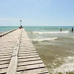 Mare Live
